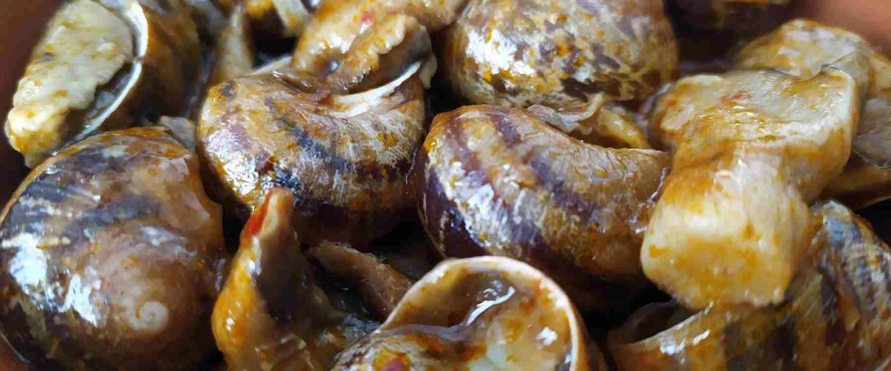 ¿Cómo cocinar caracoles?