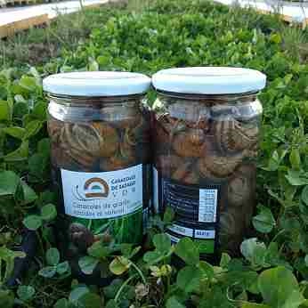 Dnde puedes comprar nuestros caracoles?