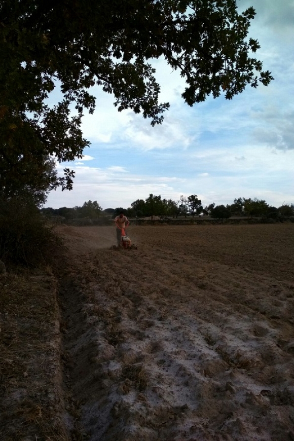Granja de caracoles
